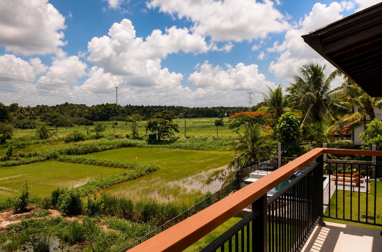 Peaceful Paddy View